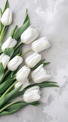 top of  white tulips on table