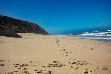 A trail of footsteps stretches along the sunny empty shoreline - 784052244