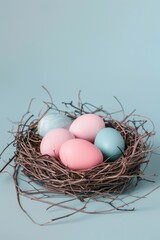 Nest with eggs on blue surface, perfect for nature themes