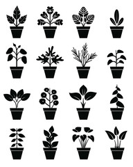 Black and white crown icon set for royalty, achievement, or beverage brand design