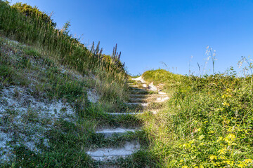 Looking up stone steps in the Sussex countryside, on a sunny summer's day
