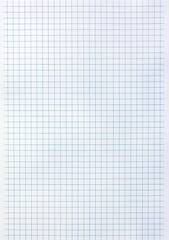 blank sheet of paper with grid 