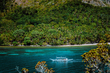 Tourist boat against jungle rainforest near beautiful tropical Snake island. El Nido, Palawan,...