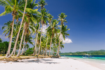Vacation holiday feeling. Palawan most famous touristic spots. Palm trees and lonely island hopping...