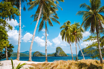 Vacation holiday season. Palawan most famous touristic spots. Palm trees and lonely island hopping...