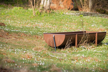 wheelbarrow in the gardenCattle always need access to a source of drinking water and therefore it is necessary to identify different watering points; The ...