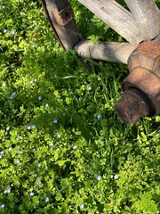 person holding a shovel