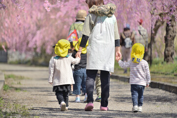 春・桜・園児の散歩
