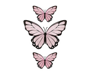 america butterfly.eps