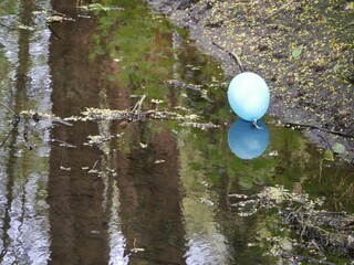 Blauer Luftballon liegt am Flussufer spiegelt sich im Wasser