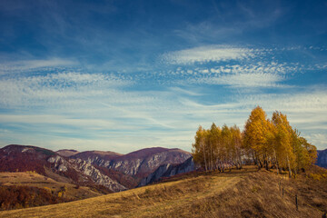 Mountain autumn landscape with colorful forest - obrazy, fototapety, plakaty