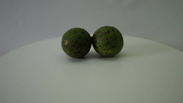 Avocado tropical fruit very common in Brazil