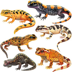 Clipart illustration featuring a various of newt on white background. Suitable for crafting and digital design projects.[A-0003]
