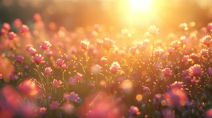 Deurstickers tiny pink flowers with wild meadow over sunrise sunset landscape photography, spring photography, nature background © Ayuluthfiani