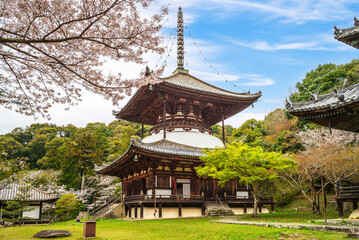 Daito Pagoda of Negoro ji temple in Iwade city of Wakayama, Kansai, Japan