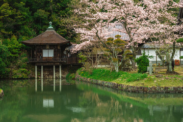 Fototapeta na wymiar Japanese Garden of Negoro ji temple in Iwade city of Wakayama, Kansai, Japan