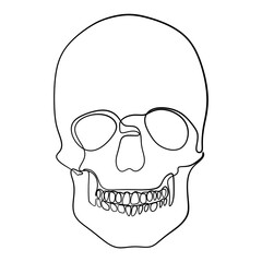 Human Skull Continuous One Line Drawing. Skull Outline Drawing Line Art. Human Skull Line Abstract