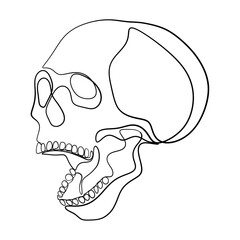 Human Skull Continuous One Line Drawing. Skull Outline Drawing Line Art. Human Skull Line Abstract