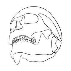 Human Skull Continuous One Line Drawing. Skull Outline Drawing Line Art. Human Skull Line Abstract