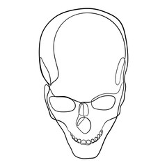 Human Skull Continuous One Line Drawing. Skull Outline Drawing Line Art. Human Skull Line Abstract