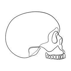 Human Skull Continuous One Line Drawing. Skull Outline Drawing Line Art. Human Skull Line Abstract