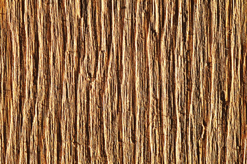 Wood pattern background. Growth rings texture. Wooden knot closeup. Macro wood pattern. Timber...
