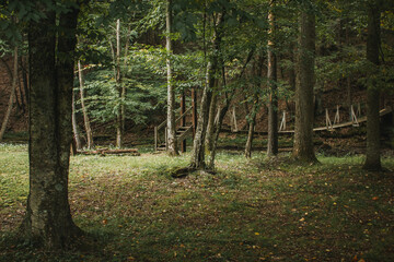 walking bridge in the woods
