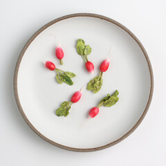 Miniature radishes in a round white plate on a white background. Miniature. Doll food. Montessori.