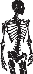 Fragmented Form Fractured Skeleton Emblem Vector Splintered Structure Skeleton Iconic Design