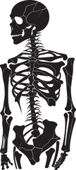 Bone Break Fractured Skeleton Icon Design Cracked Creations Skeleton Emblem Symbol