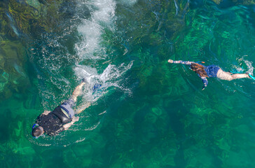 Family enjoys a sea bath practicing swimming with a snorkel mask on the beaches of Port Noarlung, Australia.