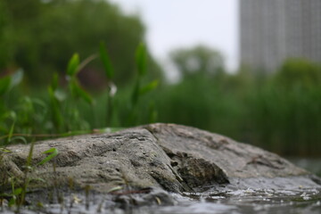 Stone near water