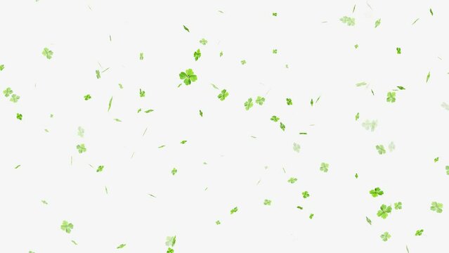 Four leaf clover flying animation, Falling Four Leaf Clovers animation,
Abstract Motion Green Shiny Blurred Four Leaf Clover. ST Patrick's day Leaf clover flying