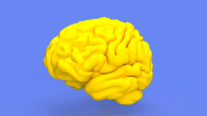 The yellow Brain for sci or education concept 3d rendering.