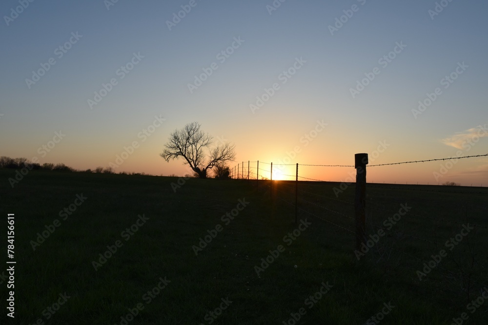 Canvas Prints sunset over a farm field