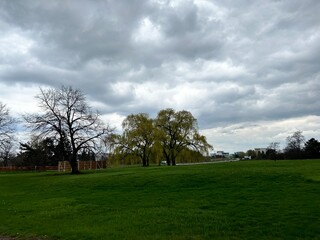 landscape with trees