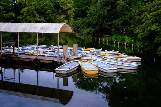 池に佇む色とりどりのボート
Colorful boats standing on a pond