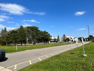 Fototapeta premium park in the city