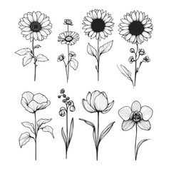 Flower line art on isolated white background 