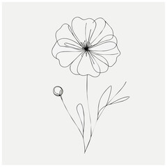 Flower line art on isolated white background 