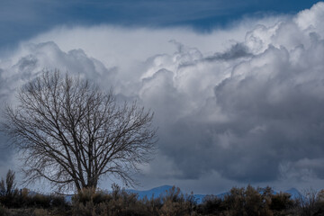 Obraz na płótnie Canvas March Desert Clouds