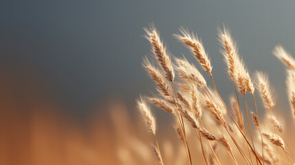 Faded grass dry icon 3d