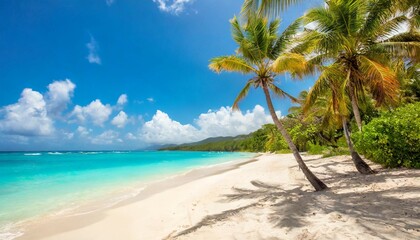 Sunny tropical Caribbean beach with palm trees and turquoise water, island vacation, hot summer day