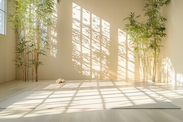 Sunlit room with bamboo plants and shadows on the floor.