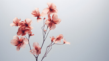 Wilted flowers dry icon 3d