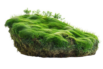 Lush green grass isolated on a transparent background	
