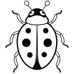 vector illustration of a ladybug. line art kid's coloring page