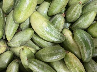 black,insect,nature,,bug,vegetable,green,red,