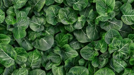 Collard Greens background as seamless tile tile 