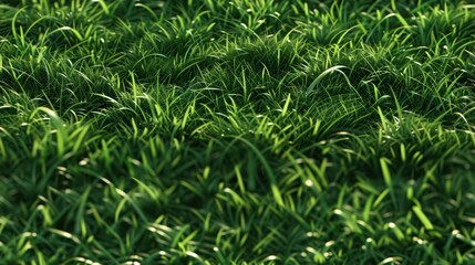 Seamlessly green grass texture background. tile